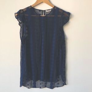 Anthropology Zoa top